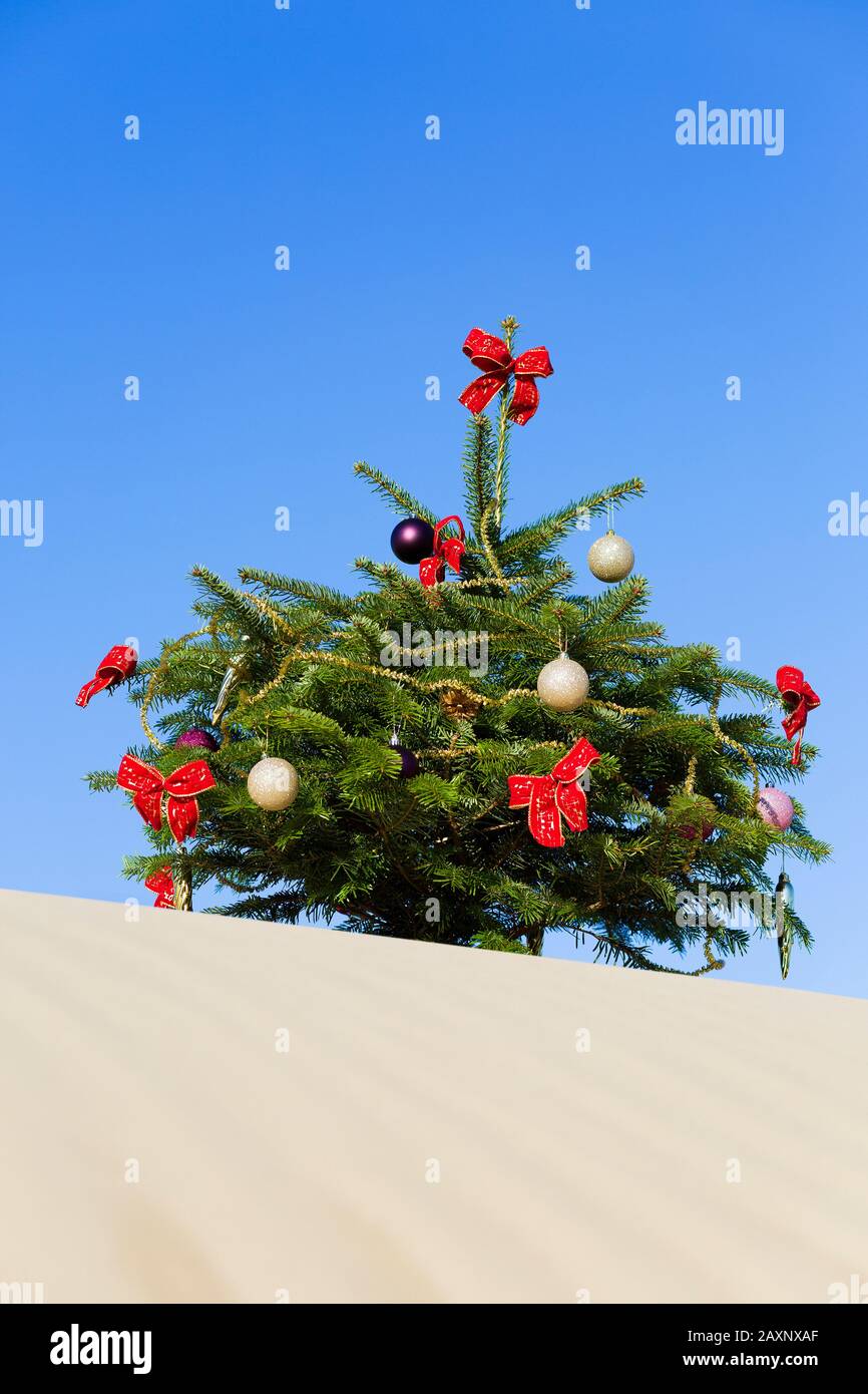 Christmas tree, desert, decoration Stock Photo Alamy