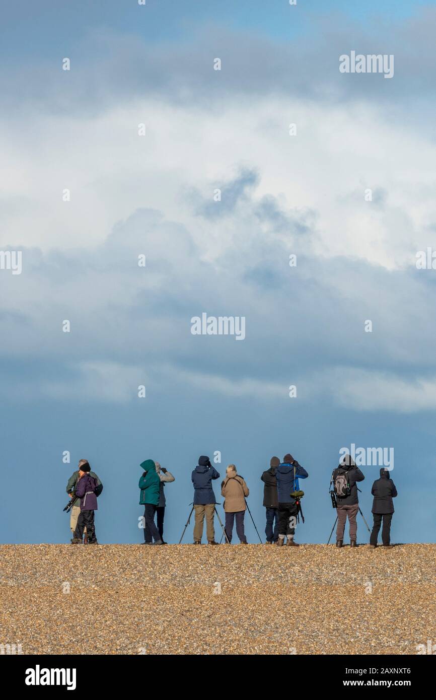 birders birdwatching on the beach at holkham in north norfolk on a shing beach twitchers standing in a line. Stock Photo