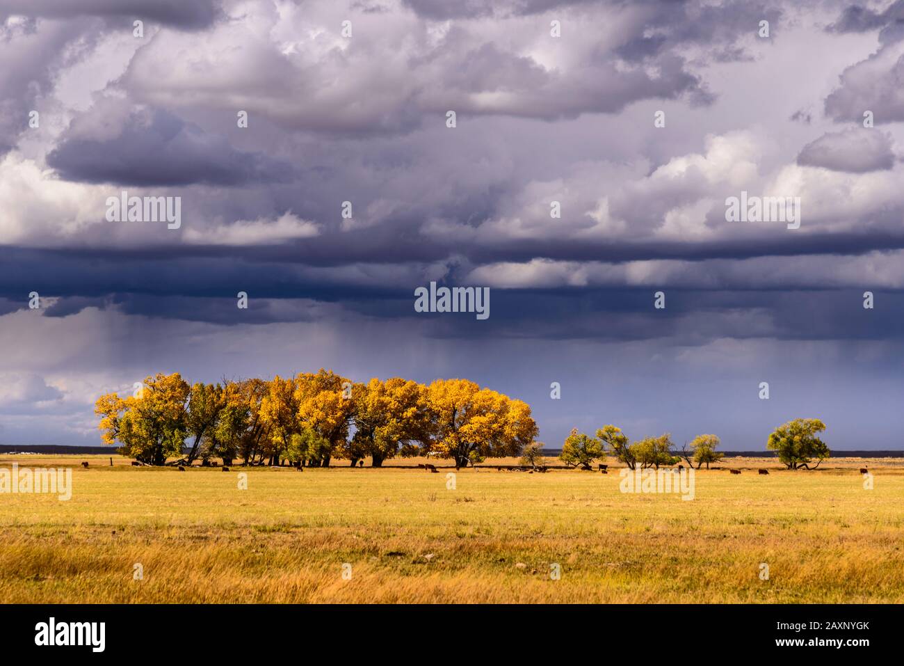 Farson wyoming hires stock photography and images Alamy