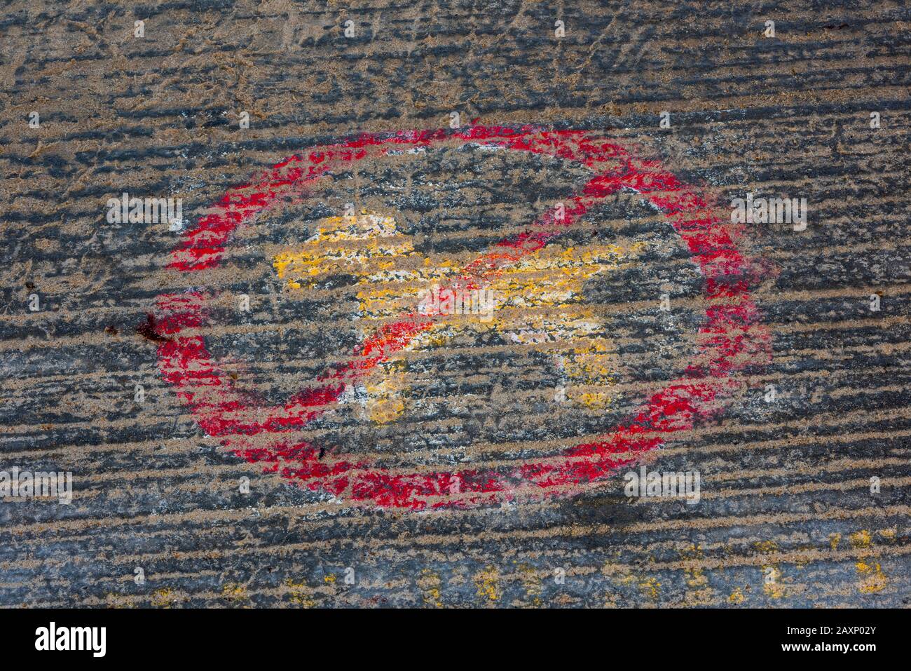 a 'no dogs' sign sprayed or painted as a warning on the pavement to stop dog owners from walking their dogs on the seafront. Stock Photo