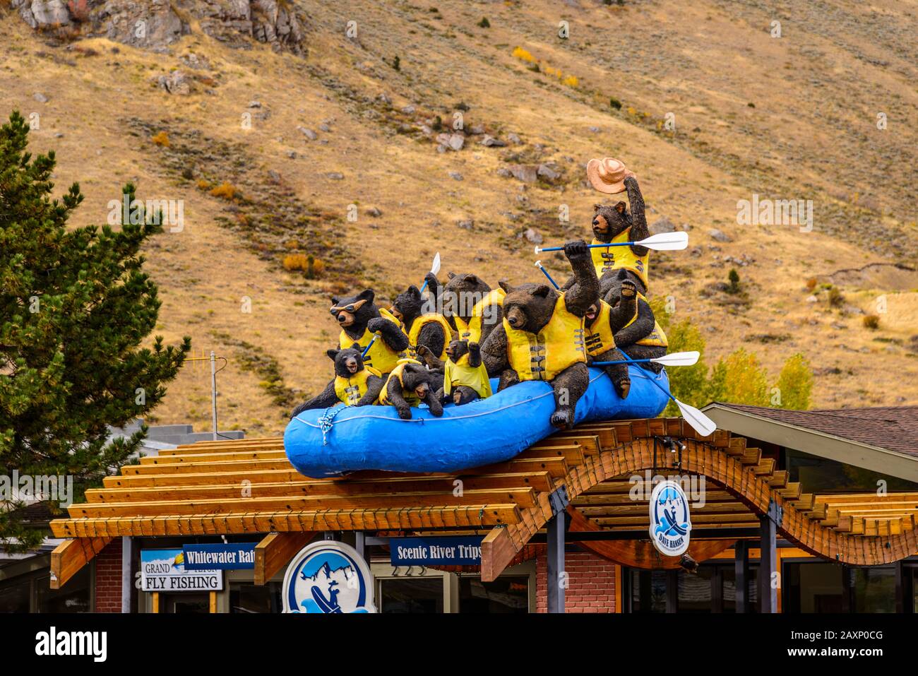 The USA, Wyoming, Jackson Hole, Jackson, Rafting advertisement, bear's
