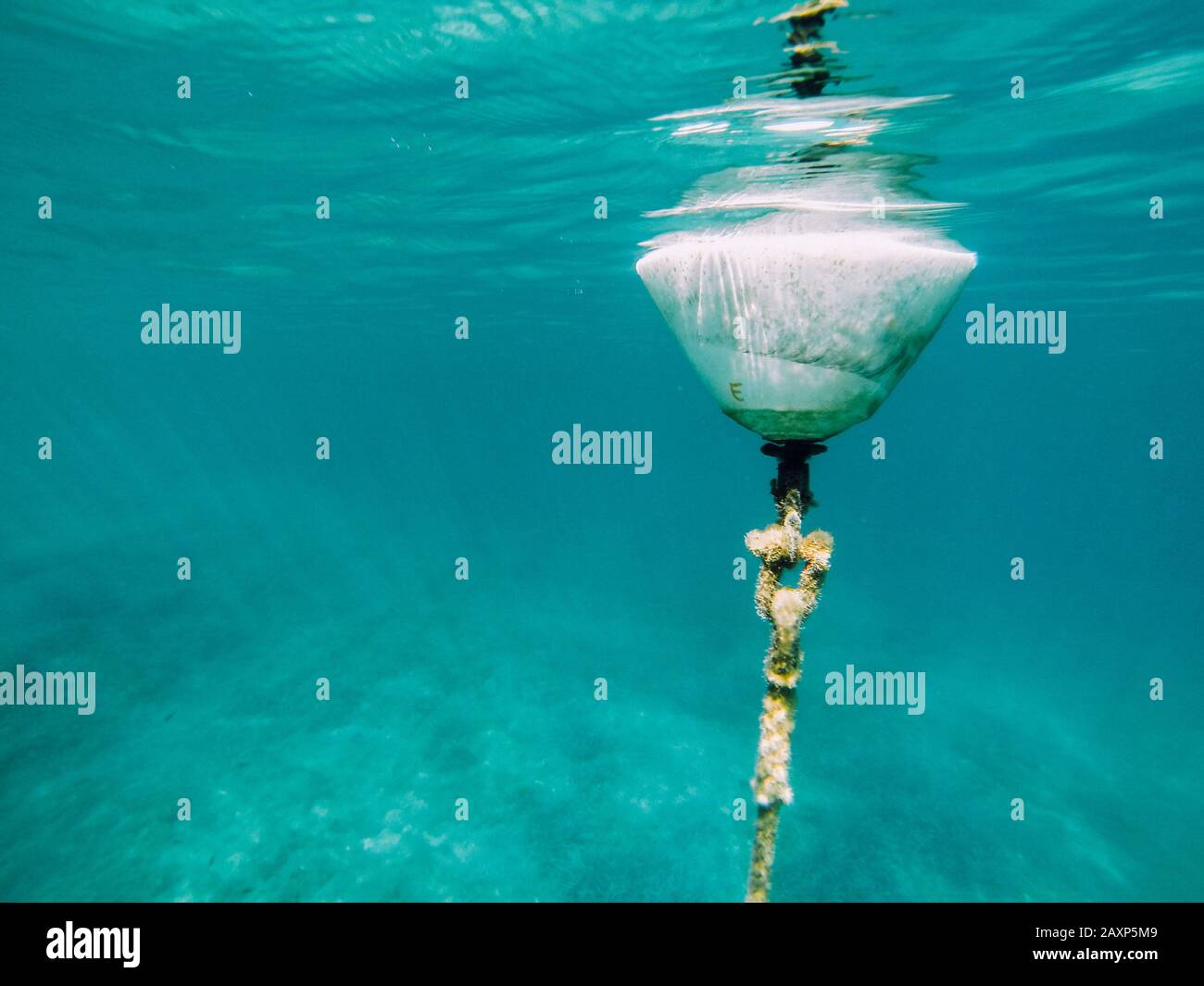 Mooring buoy photographed from below the water surface Stock Photo Alamy
