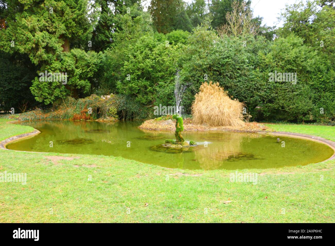 Kleiner Teich im Schlosspark von Bad Säckingen in Süddeutschland Stock