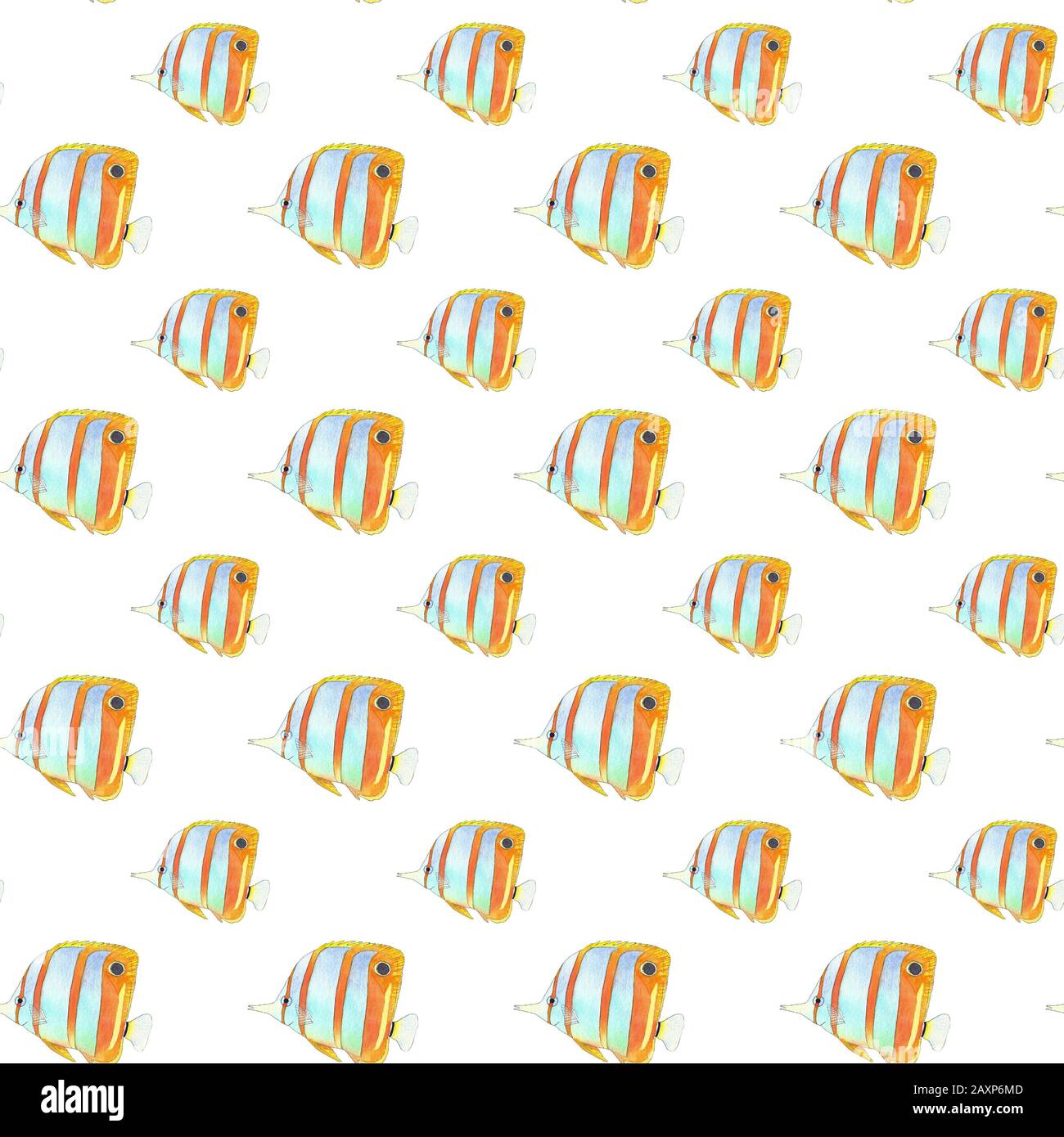 Seamless pattern of butterfly fish. Hand drawing sketch on white background. Watercolor illustration can be used in greeting cards, posters, flyers, banners, logo, further design etc. Stock Photo