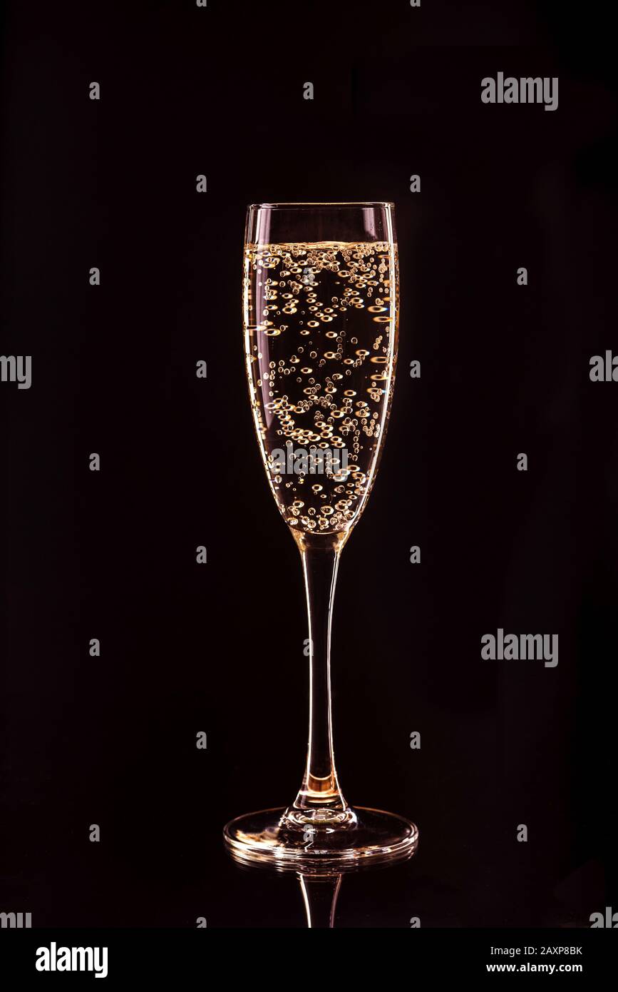 Champagne glass with bubbles with reflection on black background Stock