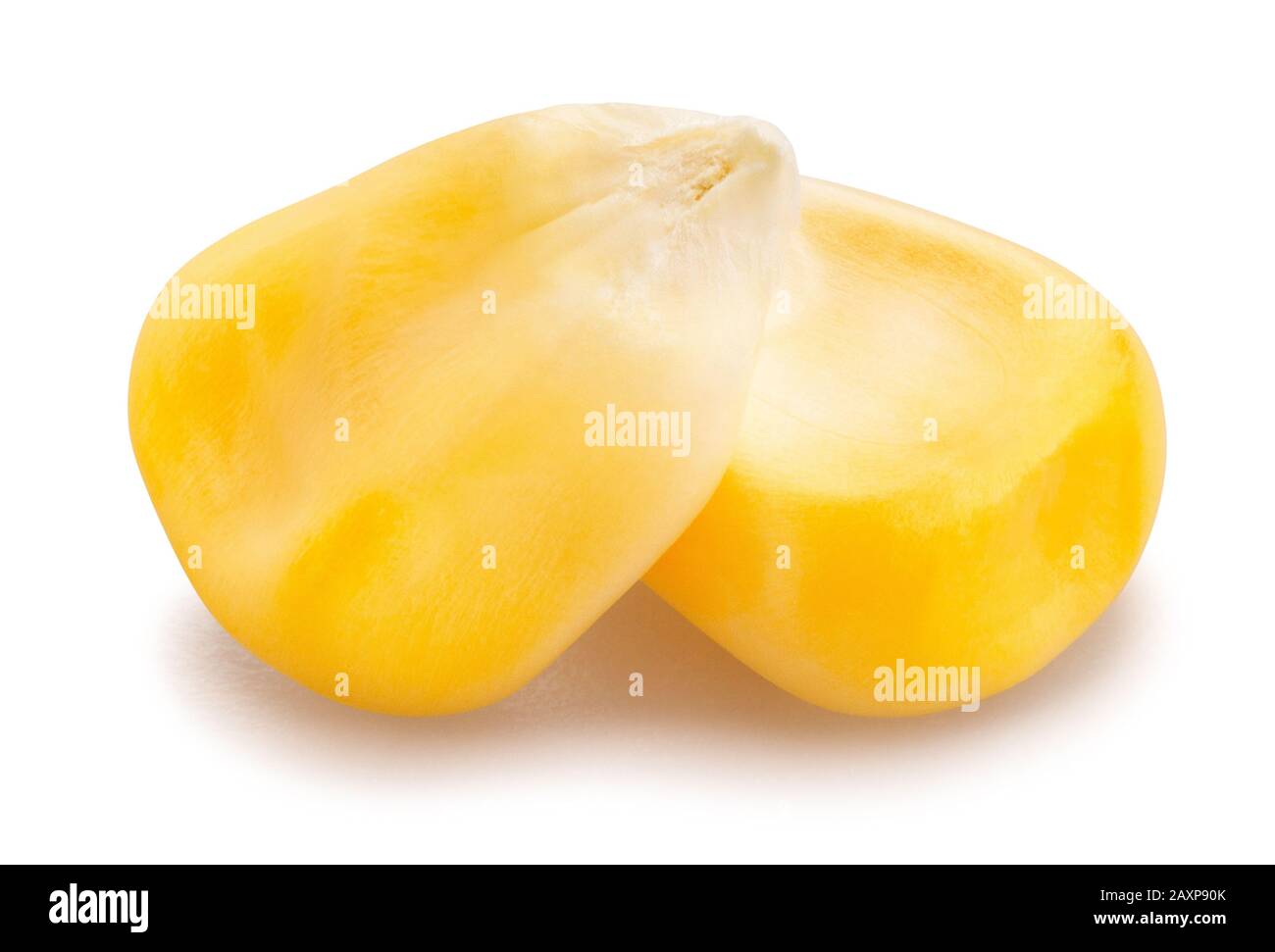 corn kernels path isolated on white Stock Photo Alamy