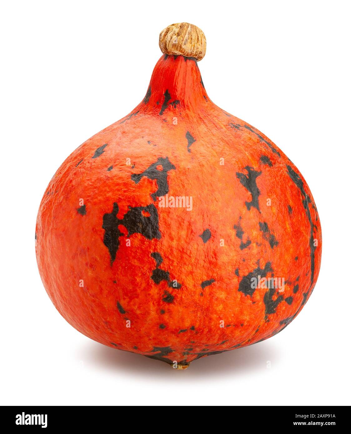 red kuri squash path isolated on white Stock Photo - Alamy