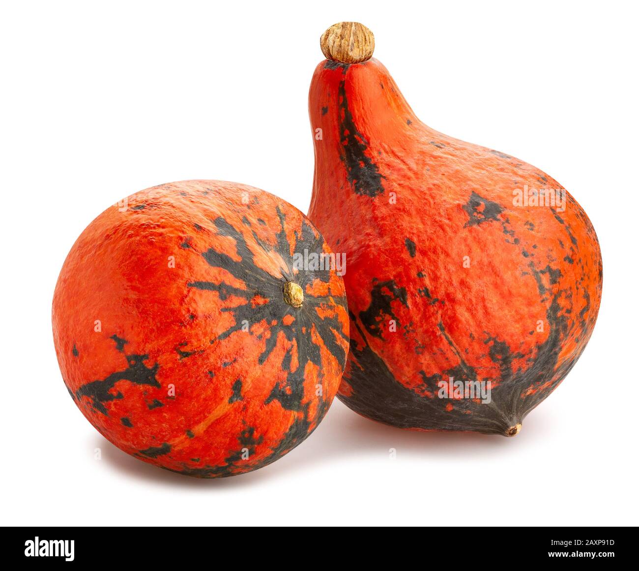 red kuri squash path isolated on white Stock Photo