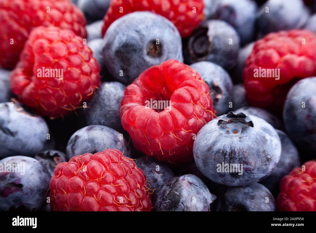 raspberry blueberry mix macro closeup creative focus Stock Photo