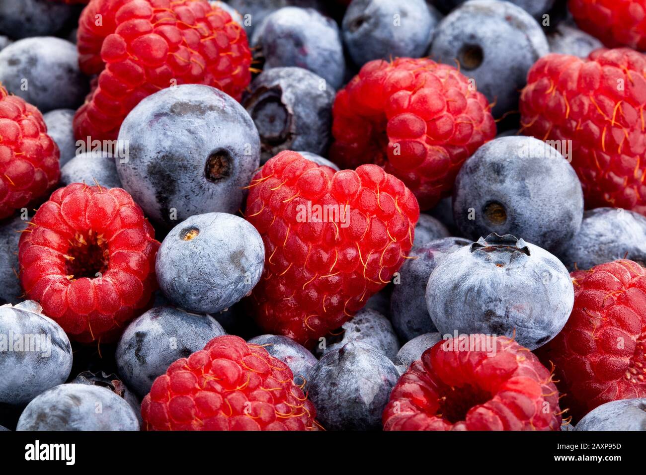 raspberry blueberry mix macro closeup Stock Photo