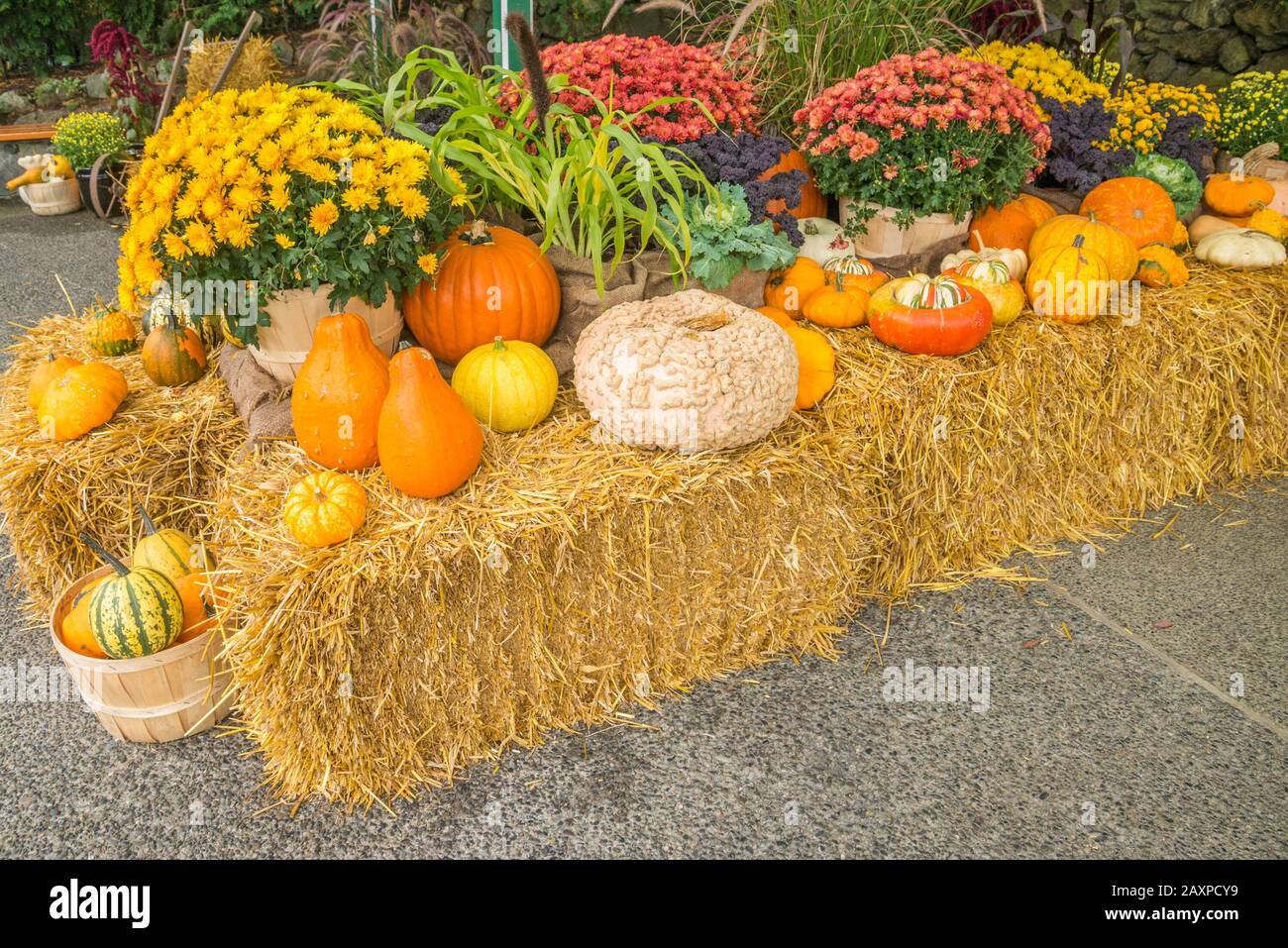 Fall Harvest Display Stock Photo Alamy