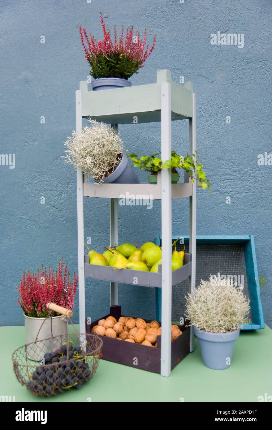 DIY shelf made of fruit boxes Stock Photo Alamy