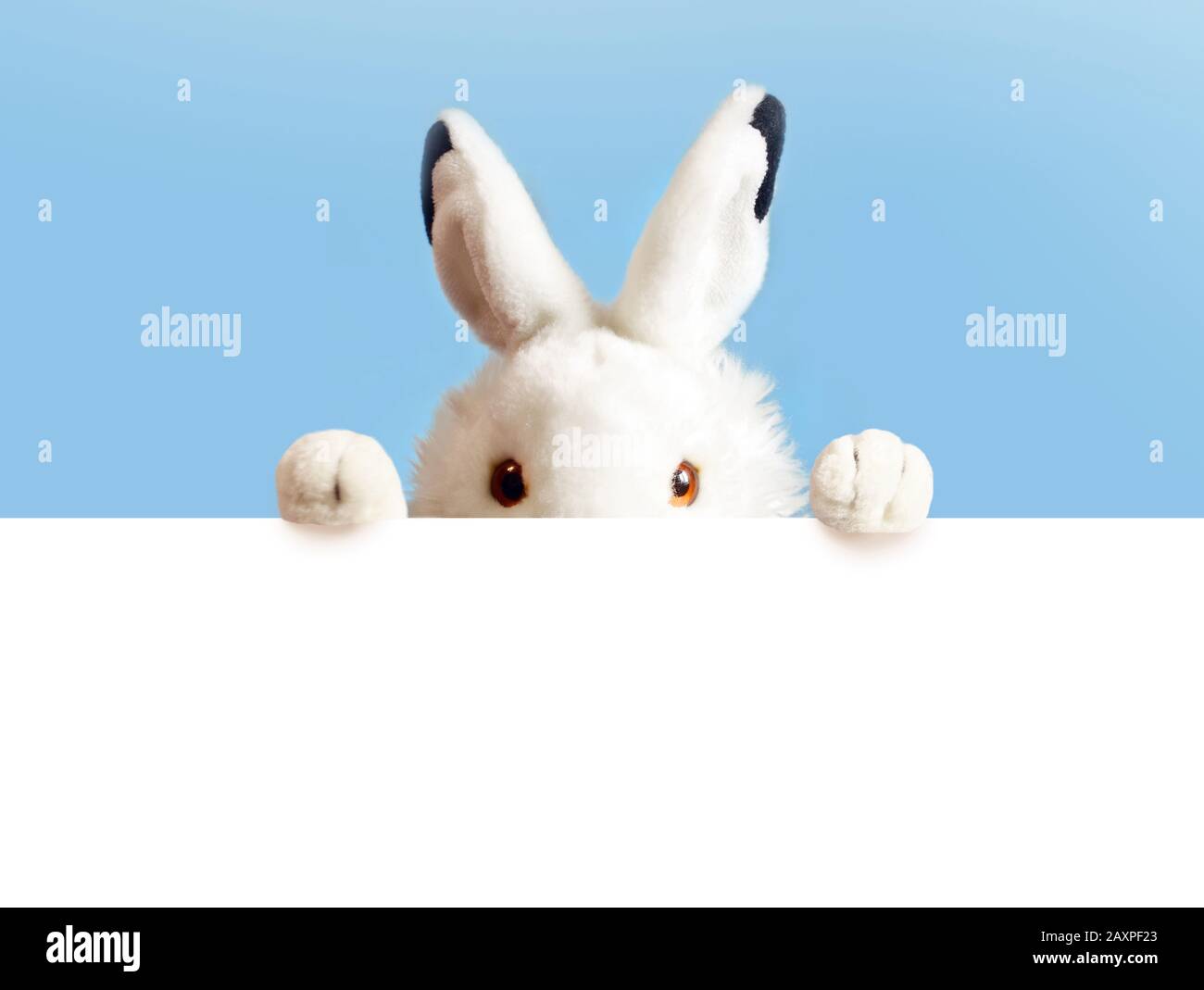 White easter rabbit with sheet for a text writing. Easter concept. Easter bunny Stock Photo