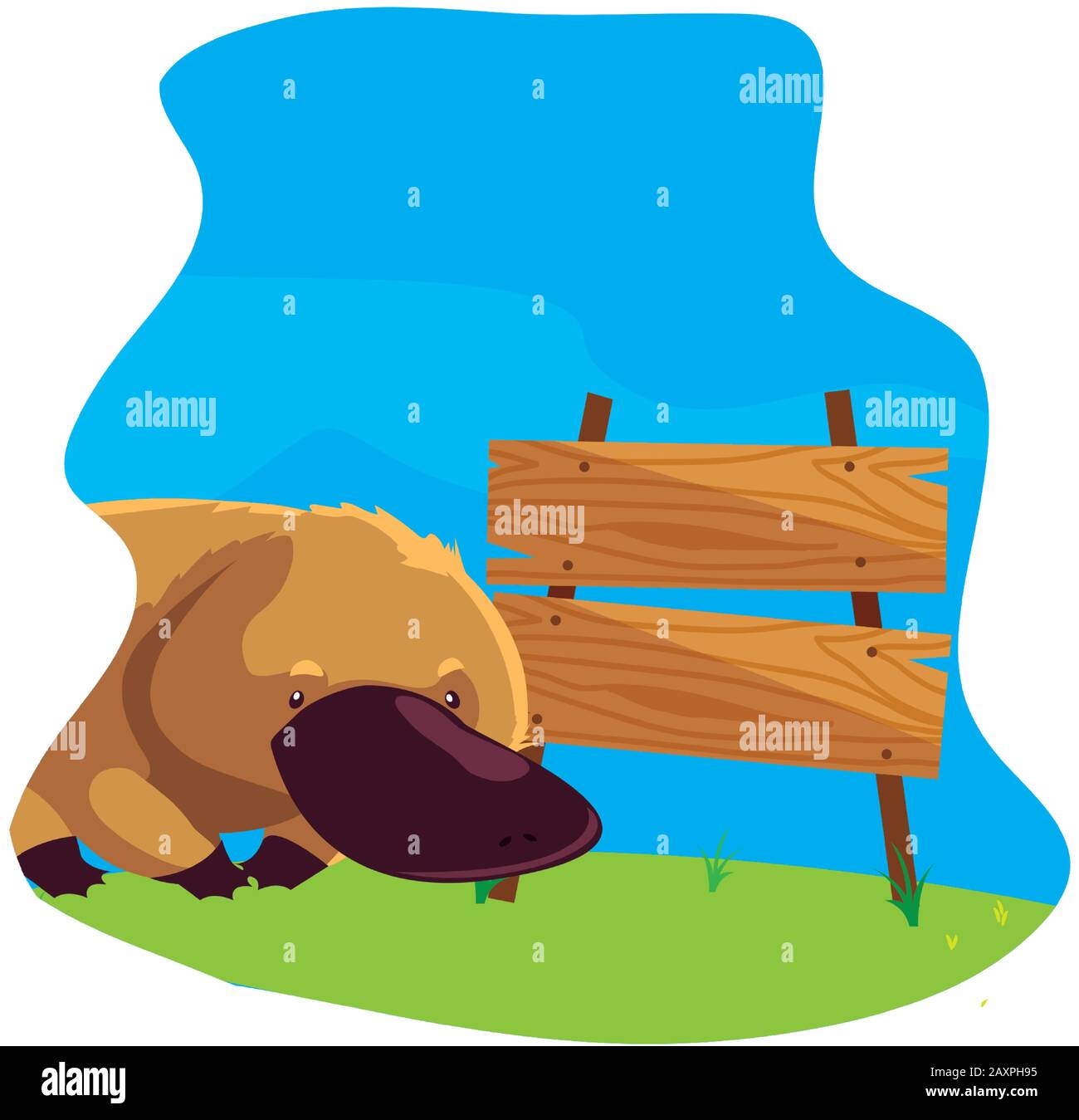 cute australian platypus with background landscape vector illustration ...