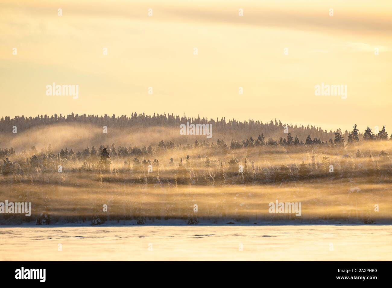 Finland, Lapland, Muonio, landscape with fog in winter Stock Photo