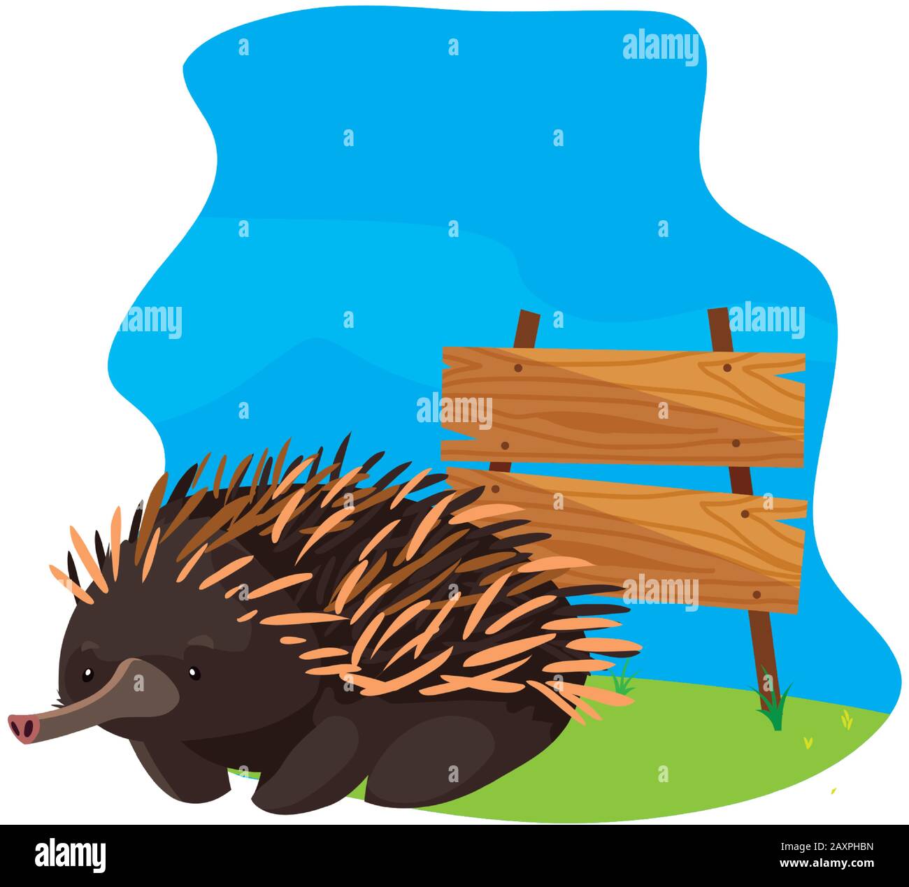 cute echidna with background landscape vector illustration design Stock ...