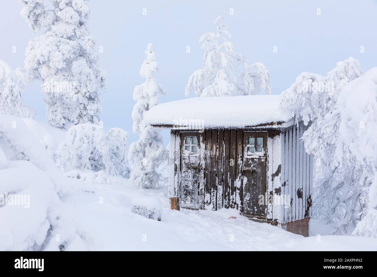 Finland, Lapland, winter, Enontekiö, landscape of Jyppyrä Stock Photo