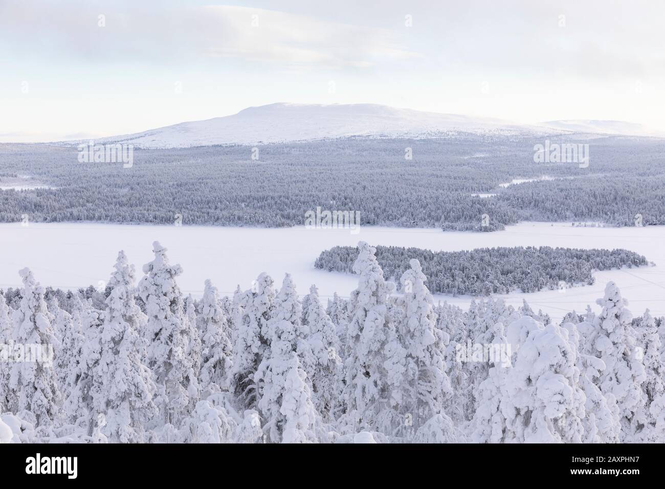 Finland, Lapland, winter, Enontekiö, landscape of Jyppyrä, view of Pyhäkero and Ounasjoki Stock Photo