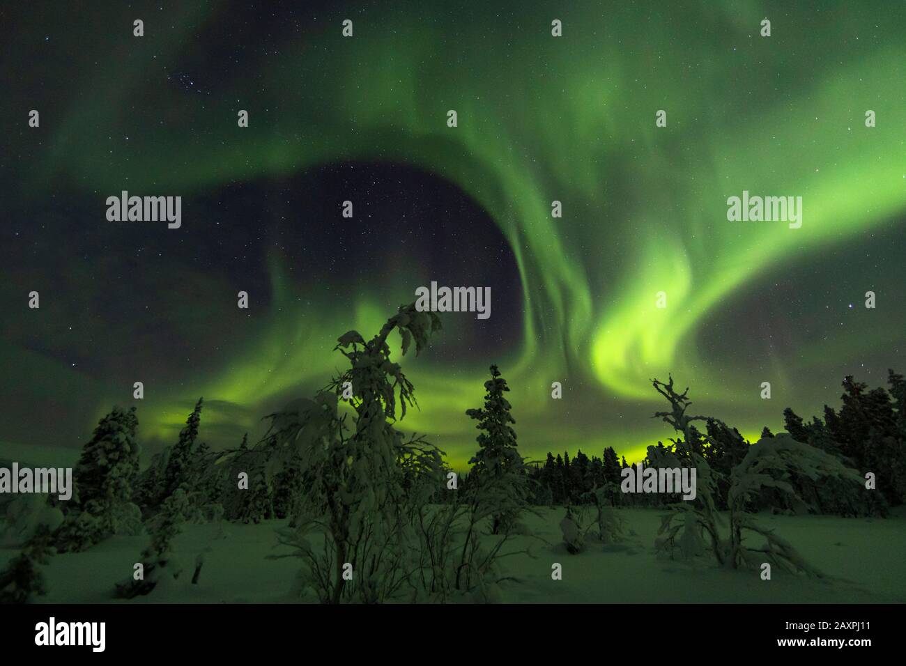 Finland, Lapland, winter, Aurora, northern lights Stock Photo