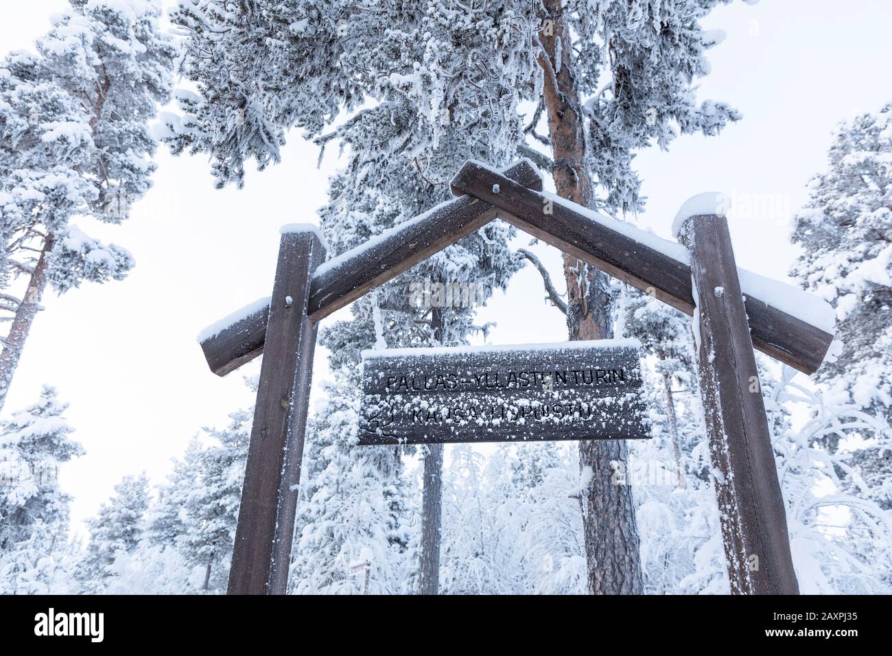 Finland, Lapland, winter, Pallastunturi, entrance National Park Stock Photo