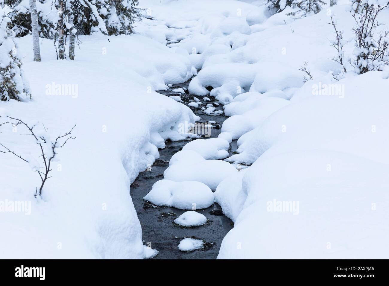 Finland, Lapland, Pallastunturi, winter, brook, snow Stock Photo