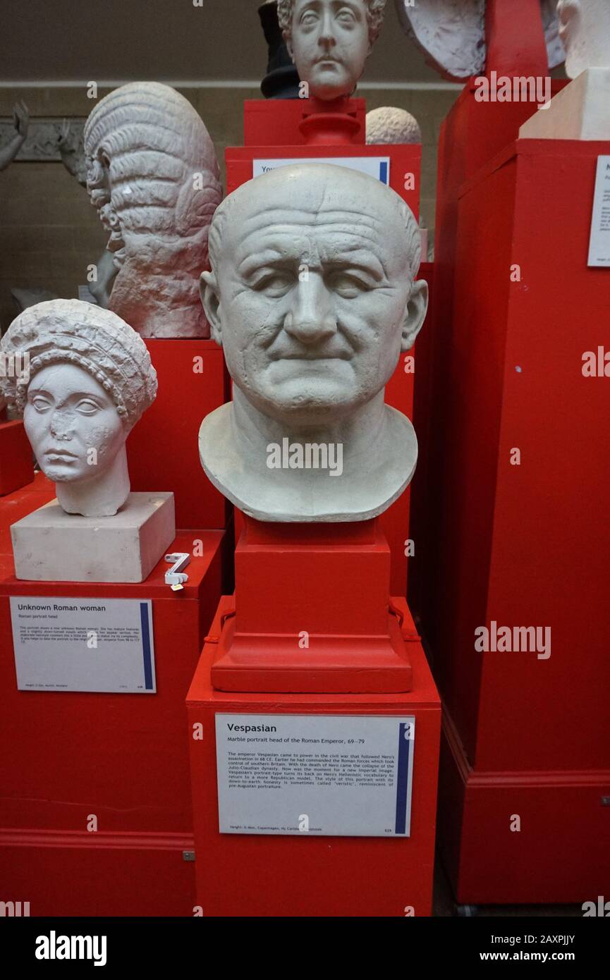 Cast of a bust of Roman Emperor Vespasian, along with other roman busts, Museum of Classical Archaeology, Cambridge Stock Photo