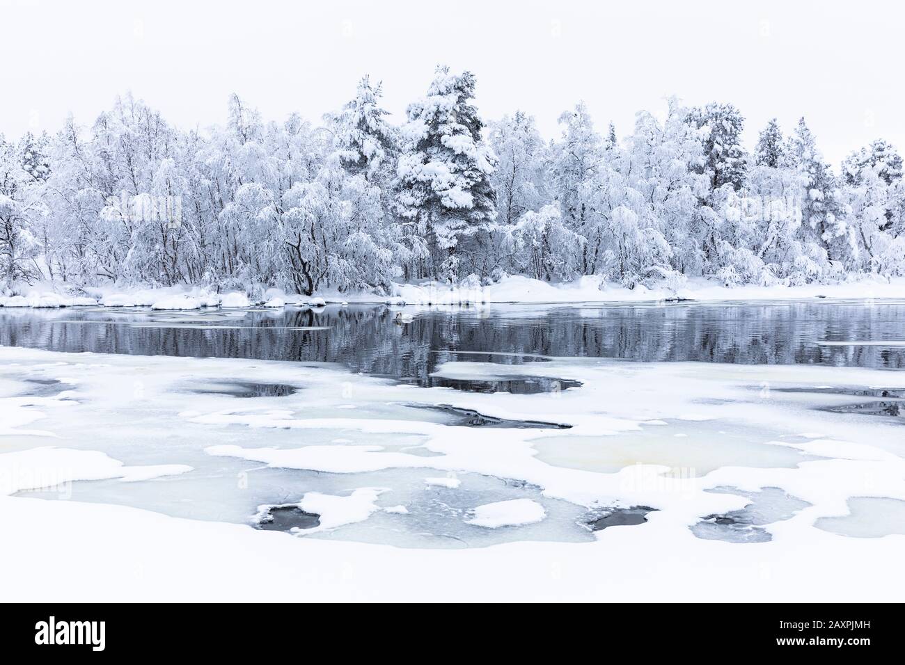 Finland, Lapland, Muonio, Jerisjärvi, landscape with river Stock Photo