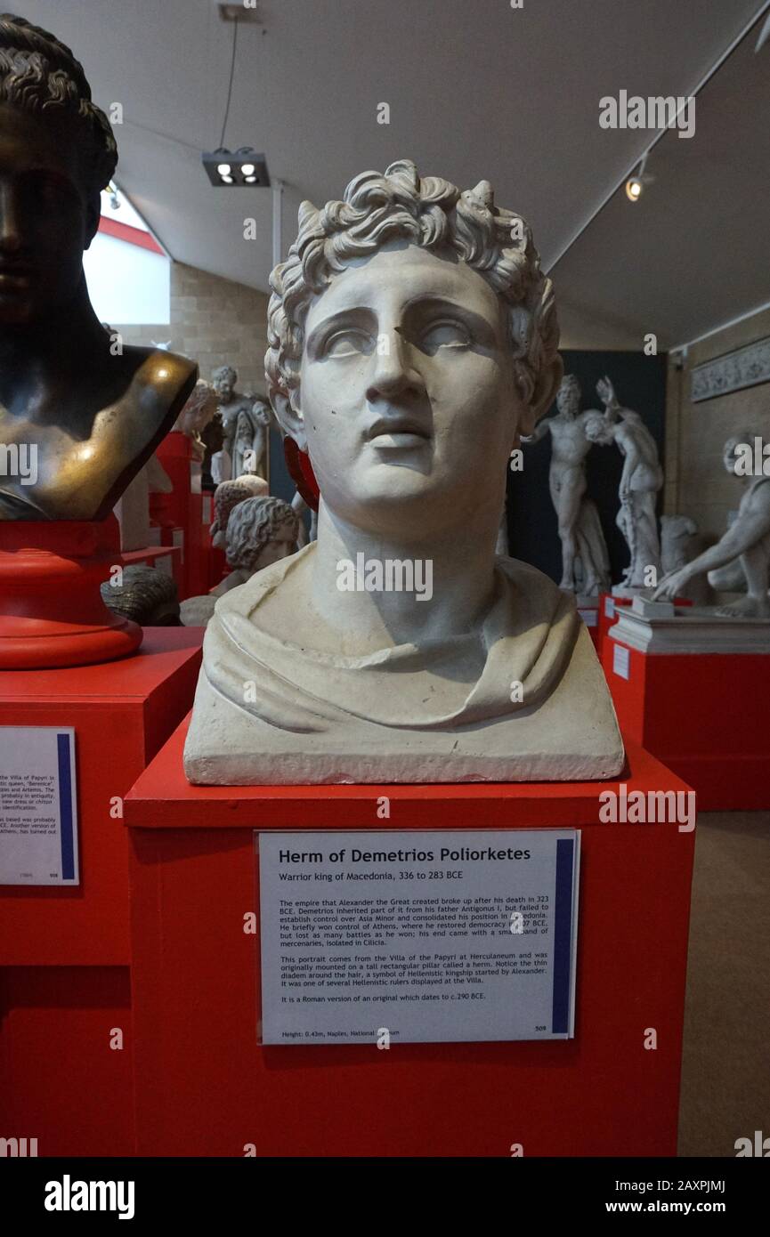 Bust of Herm of Demetrios Poliorketes, Warrior King of Macedonia, Museum of Classical Archaeology, Cambridge Stock Photo