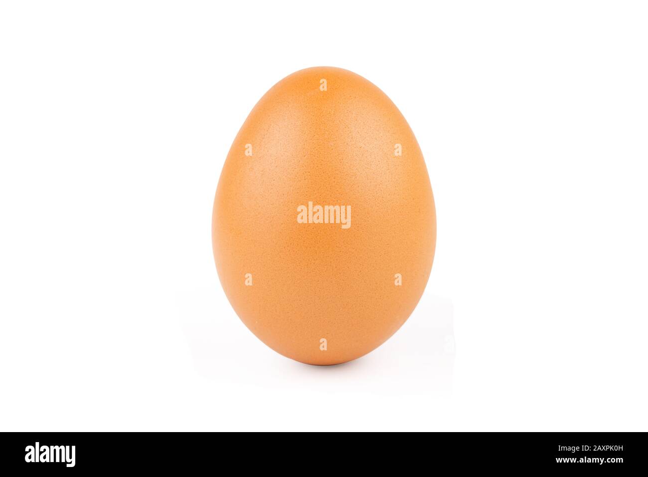 chicken egg isolated on white background with clipping path Stock Photo ...