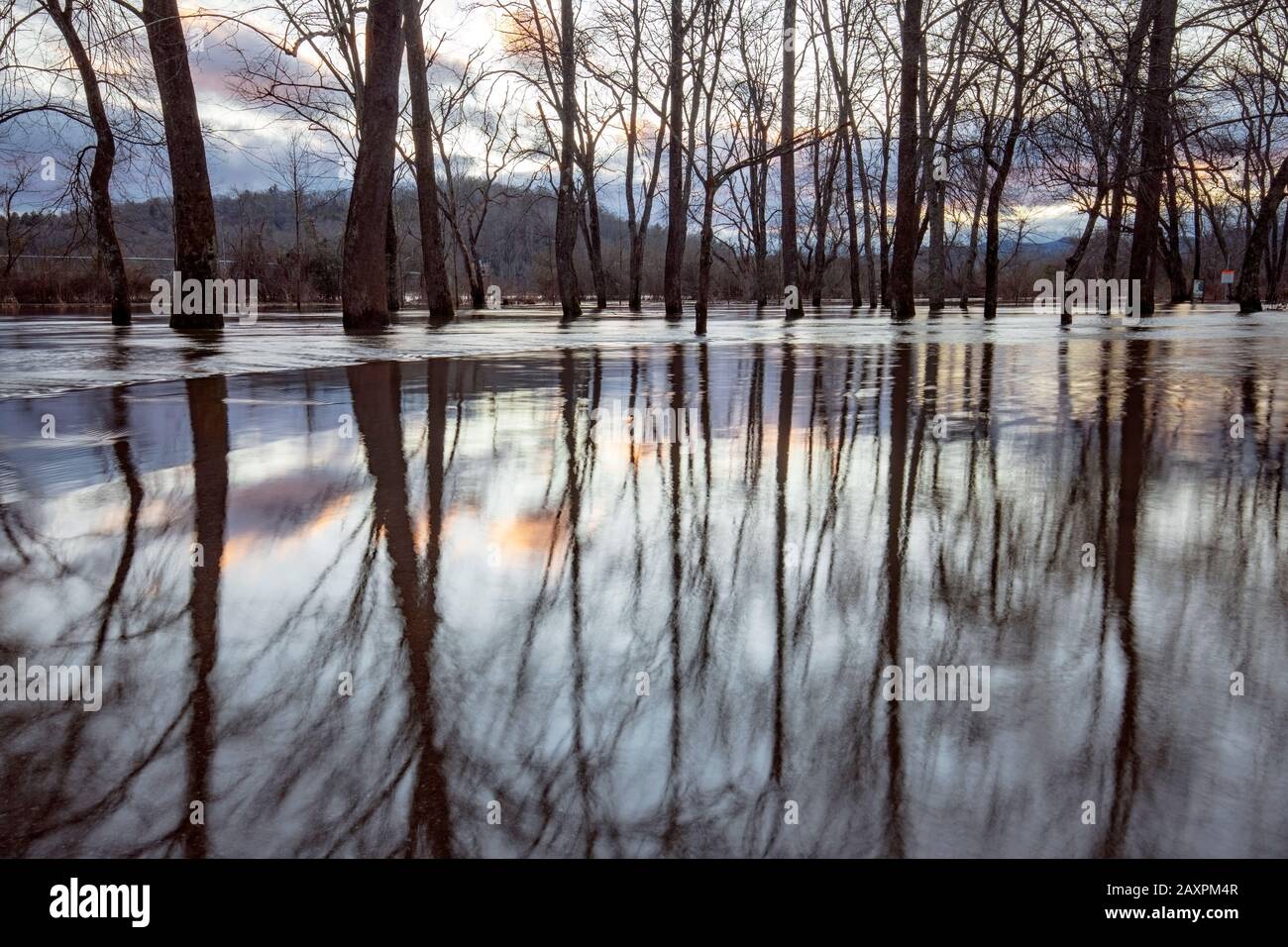 Flooded forest reflections at sunset created by the French Broad River overflowing its banks after heavy rains. Hap Simpson Park, Brevard, North Carol Stock Photo