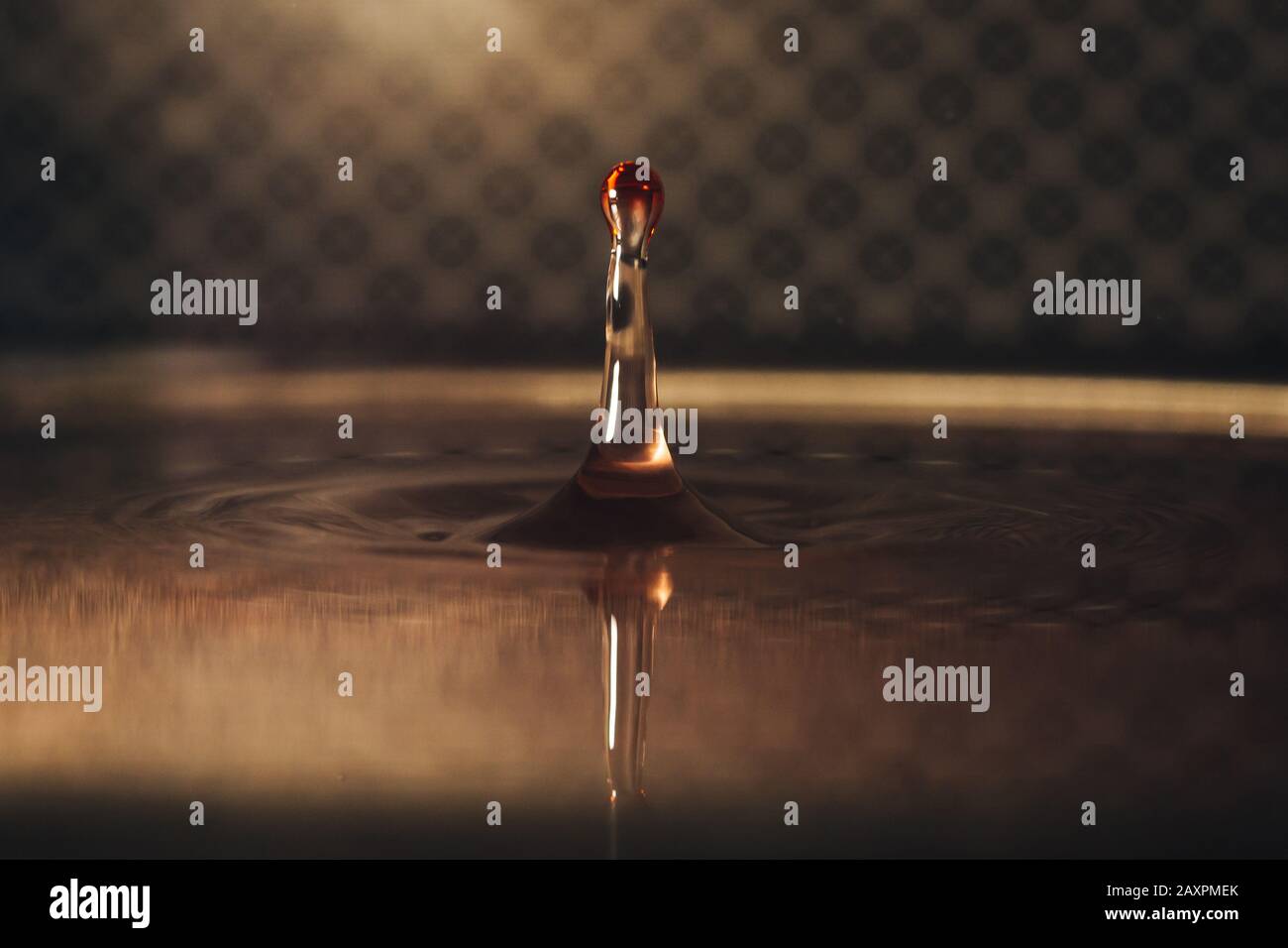 Macro shot of water droplets with nice background Stock Photo - Alamy