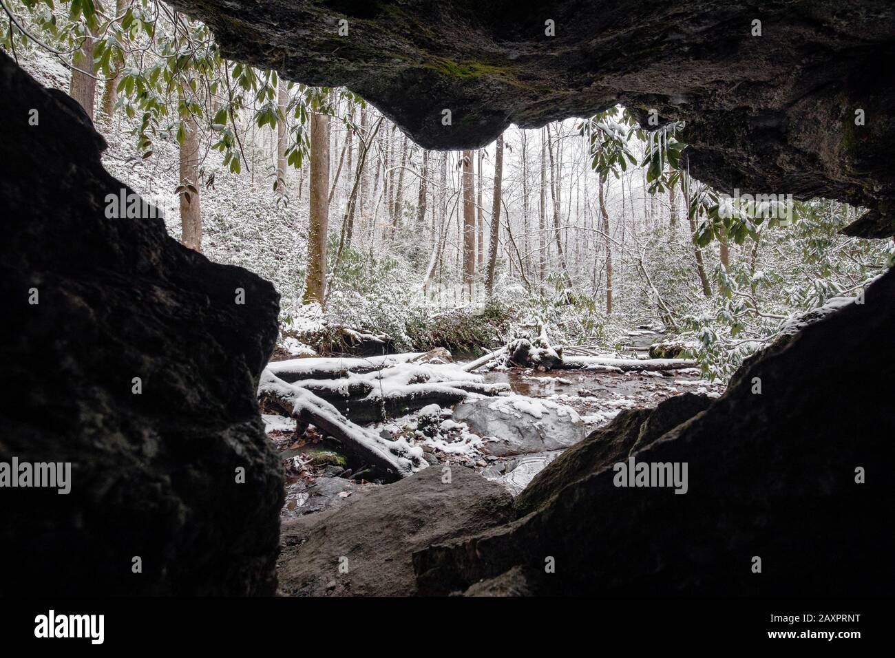 Snowcovered forest scene framed by cave walls in Pisgah National