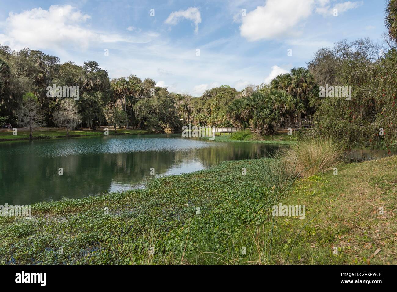 Gemini Springs Park, DeBary Florida USA Stock Photo Alamy