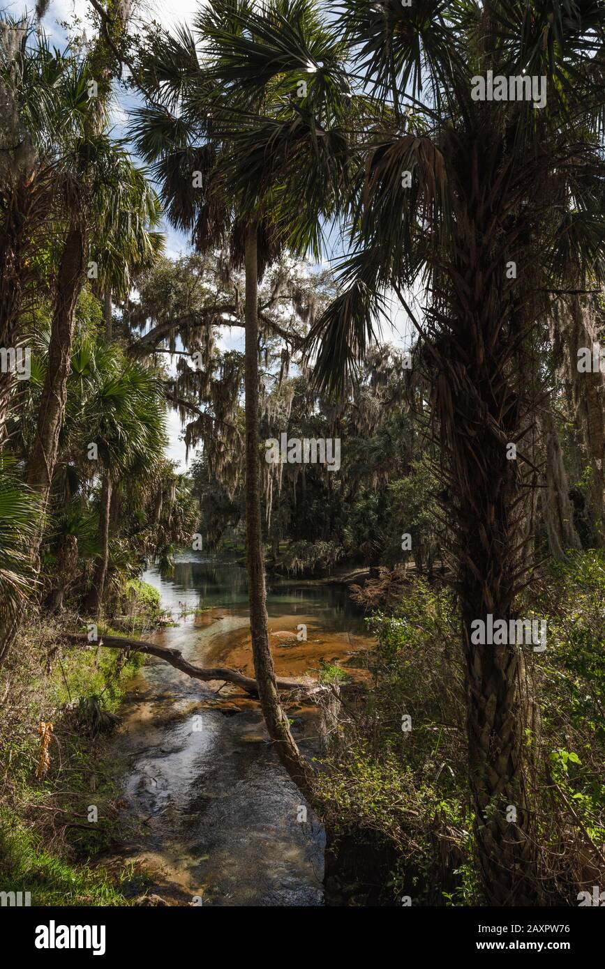 Gemini Springs Park, DeBary Florida USA Stock Photo Alamy