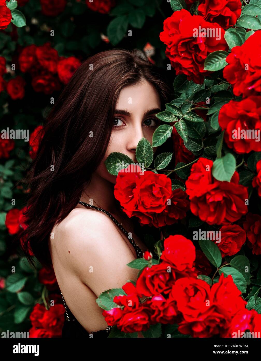 Portrait of a beautiful girl among the bush of the red rose Stock Photo -  Alamy