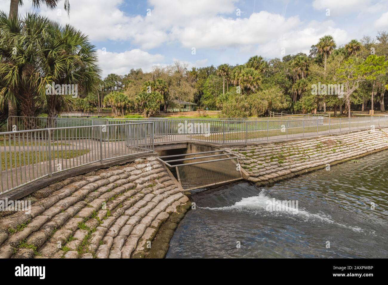 Gemini Springs Park, DeBary Florida USA Stock Photo Alamy