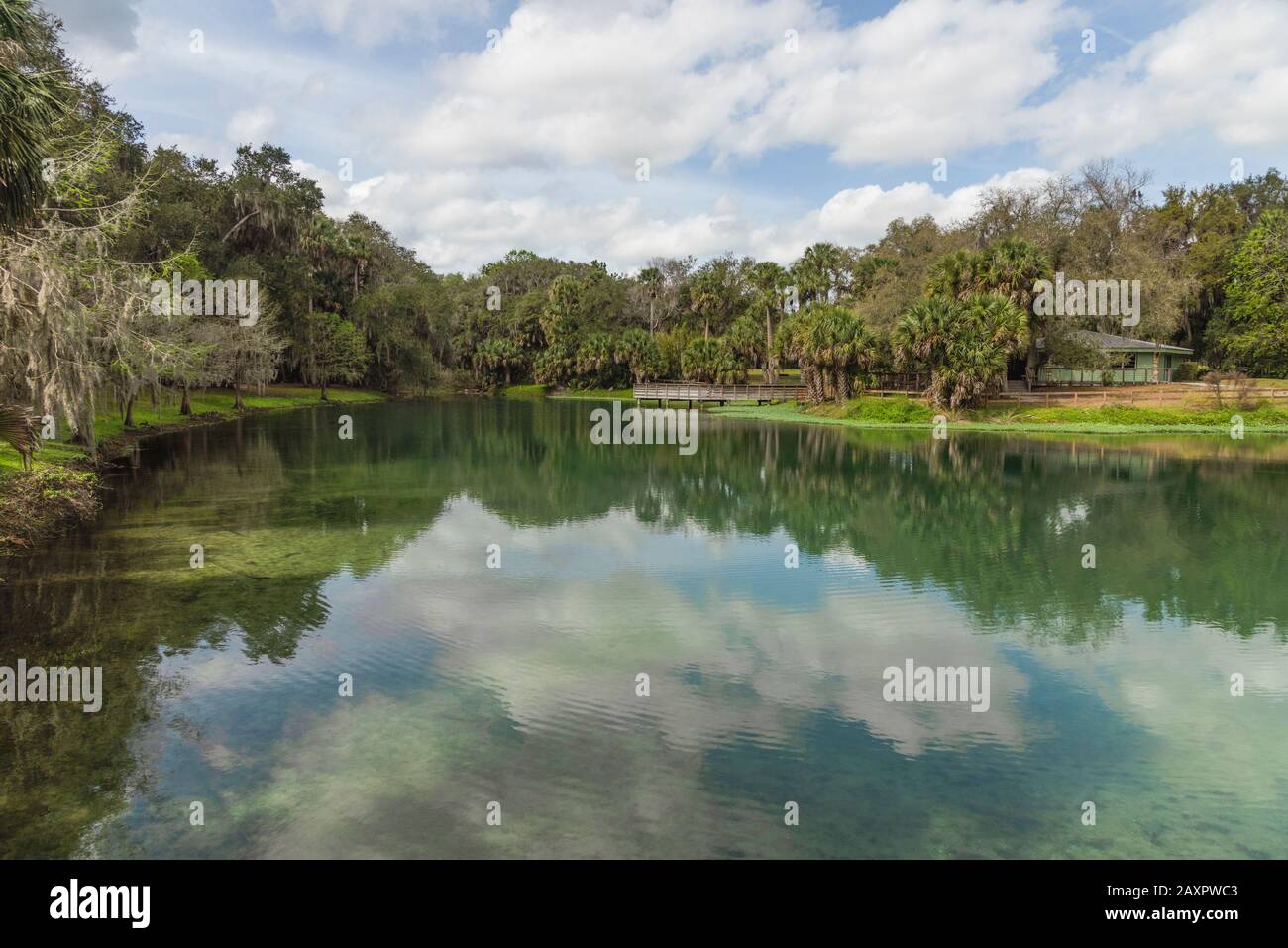 Gemini Springs Park, DeBary Florida USA Stock Photo Alamy