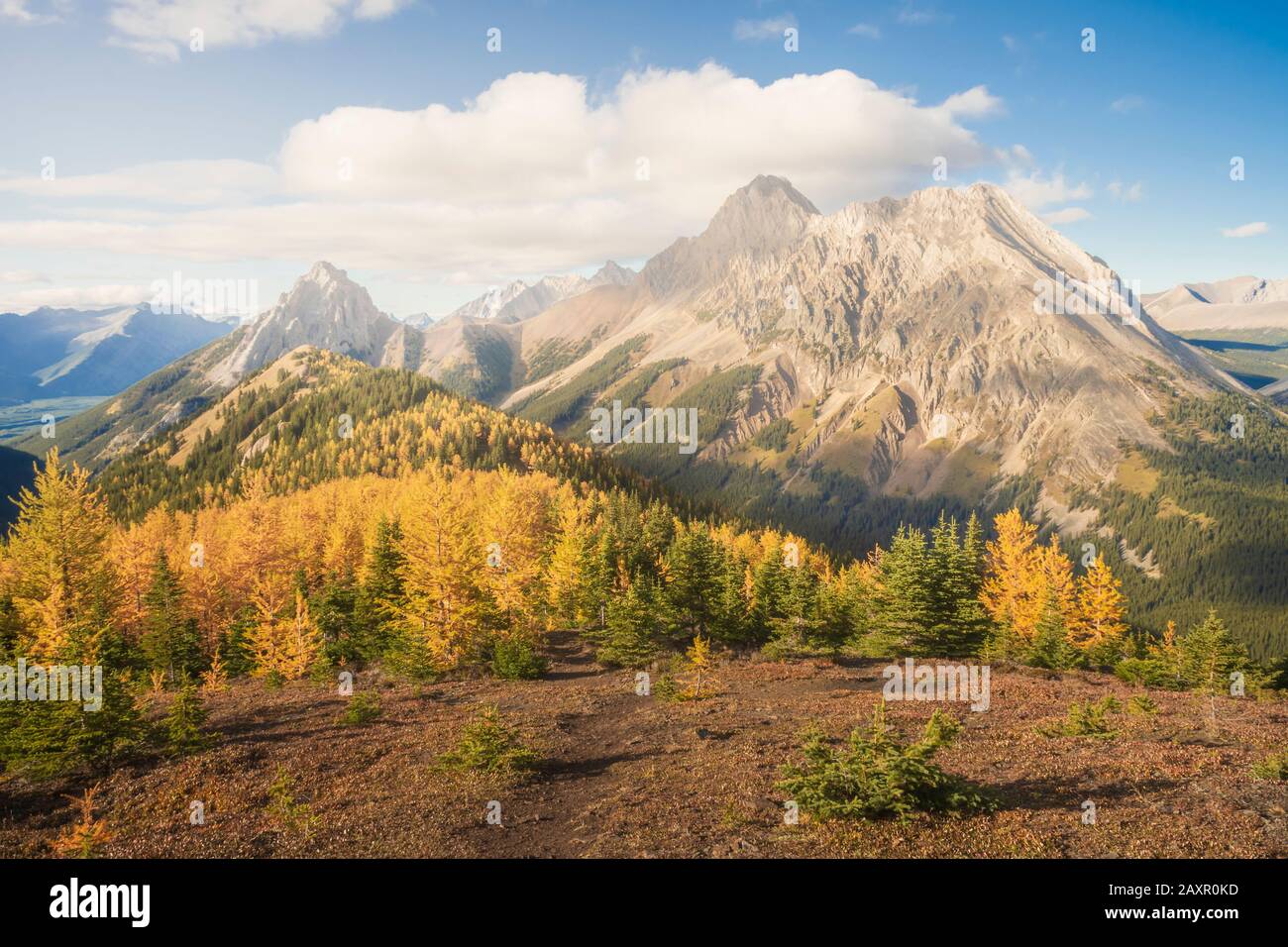Pocaterra Ridge in Kananaskis country in Fall near Calgary Alberta, Canada Stock Photo