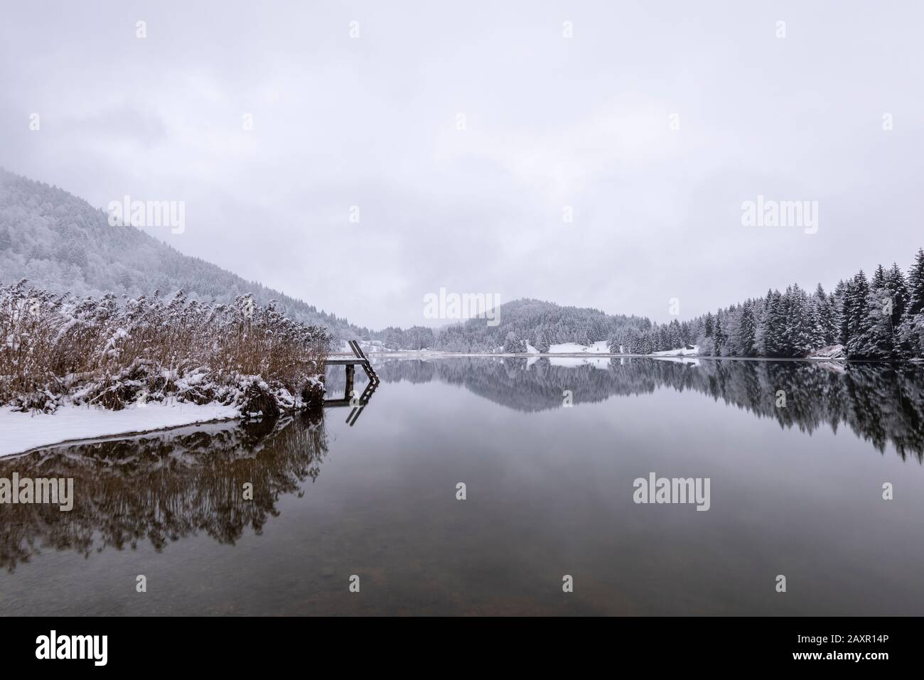 Reed island on wintry Geroldsee, also called Wagenbrüchsee Stock Photo