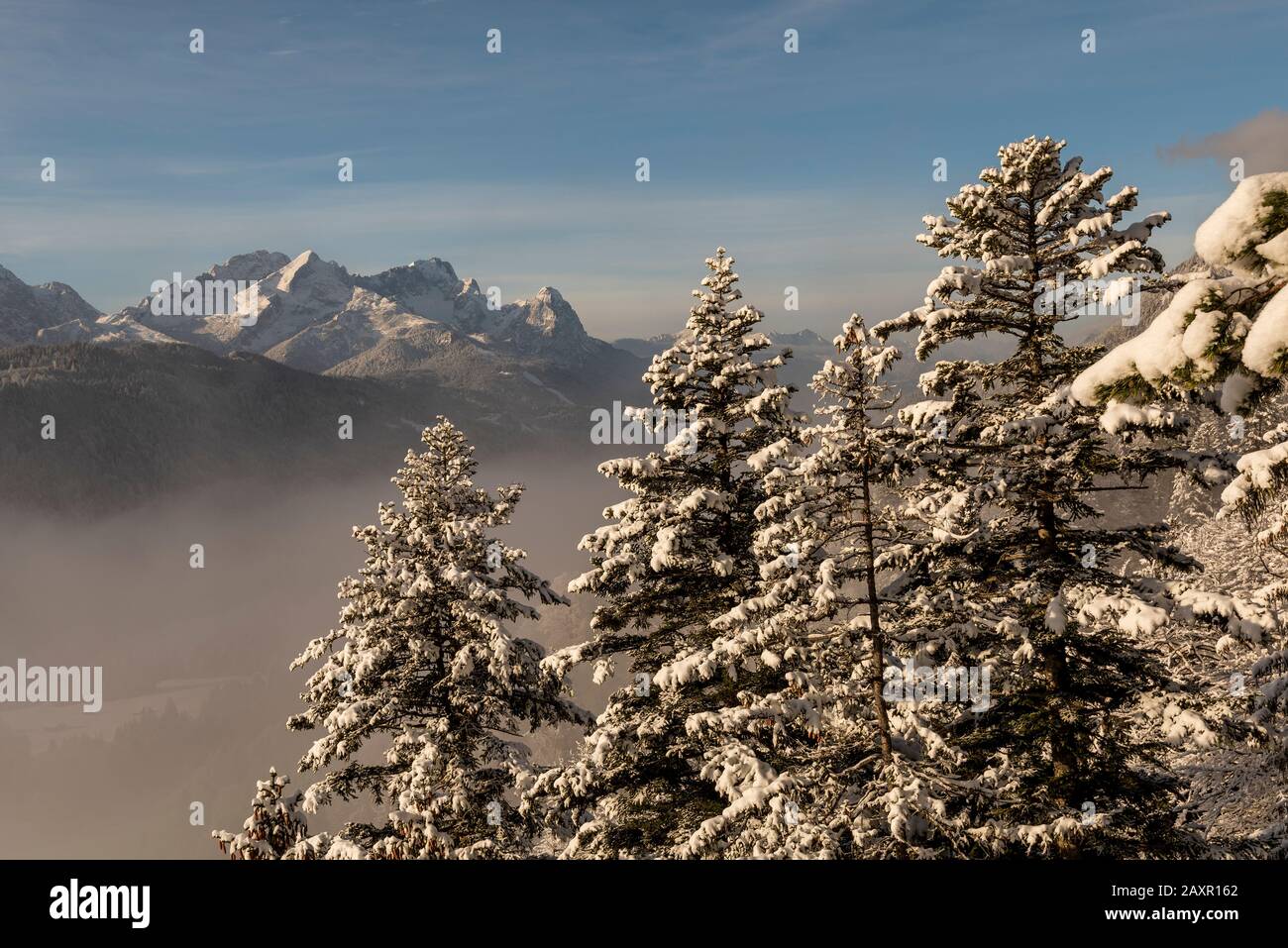 Snow-covered spruce trees and in the background the Zugspitze with the Wetterstein mountains, while mist in the valley Stock Photo