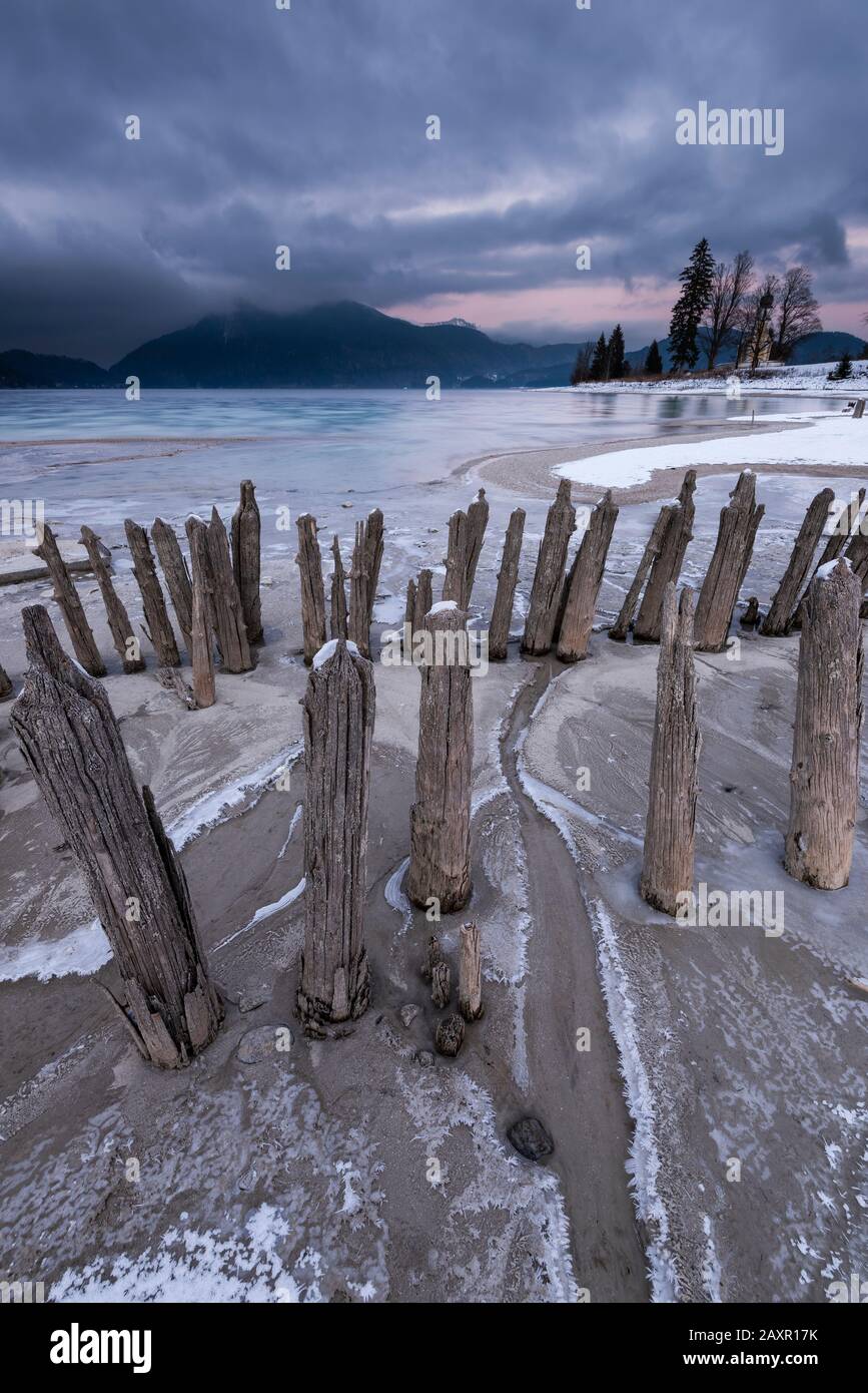 Old piles of a historic fish farm on the shores of lake Walchensee, in the background the chapel St. Margareth on the Zwergern peninsula in winter dur Stock Photo