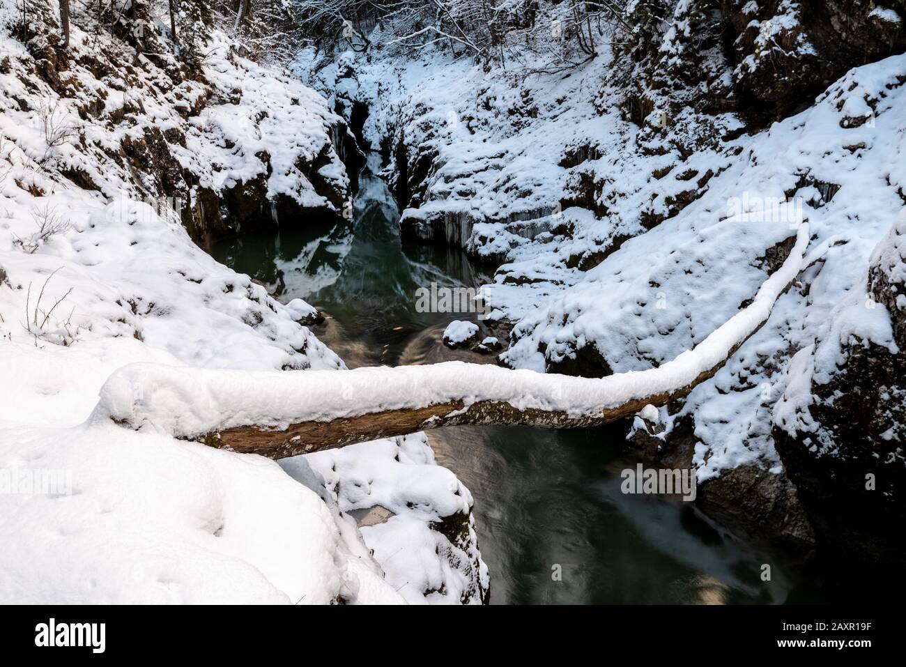 Natural bridge of a tree trunk over the gorge at Sylvenstein impounding reservoir in winter at fresh snow Stock Photo