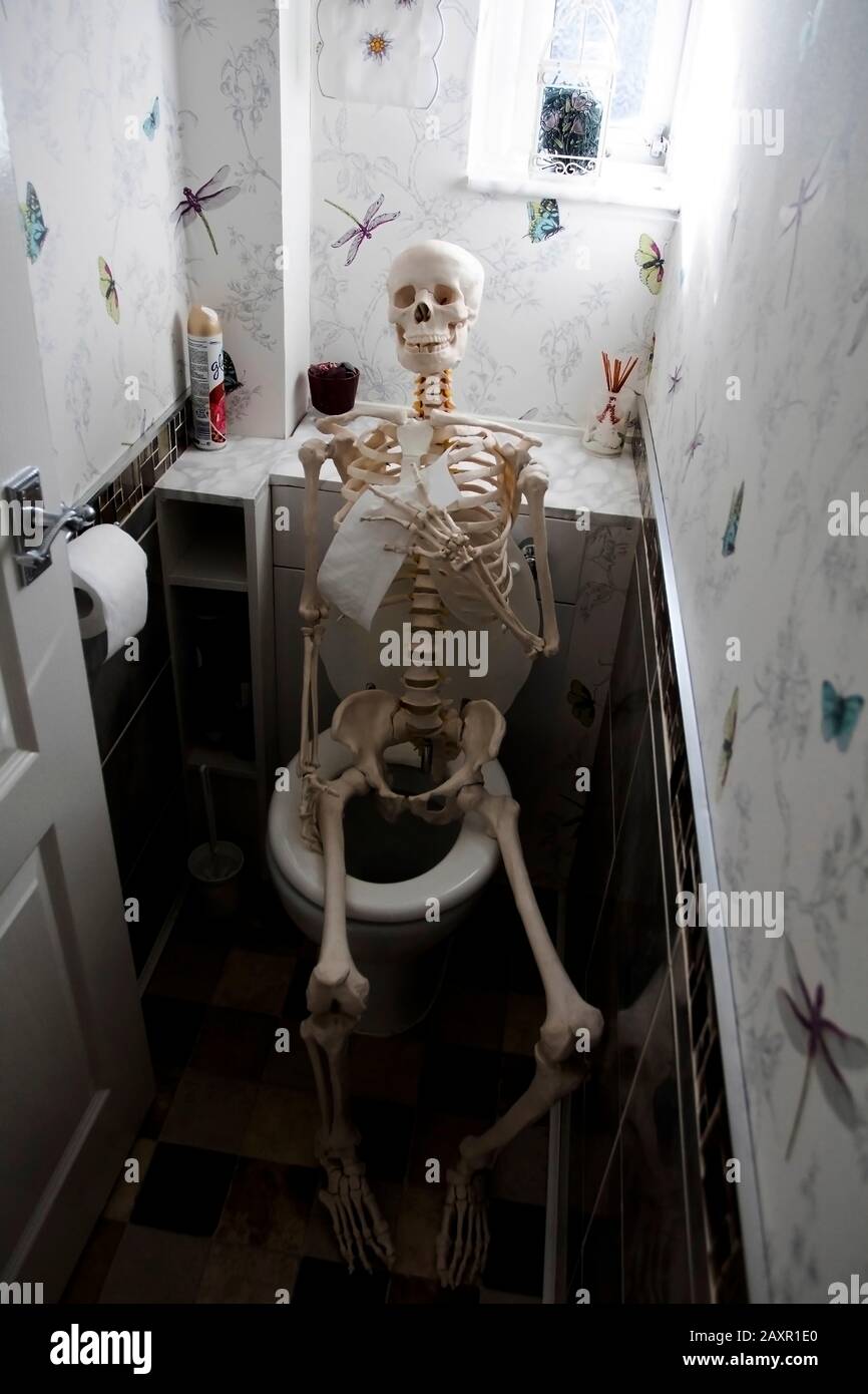 Skeleton sat on toilet, Droitwich Spa, England, United Kingdom, 8/02/2020. ghost tour halloween. Fun and enjoyment. All Hallows. Background and poster Stock Photo