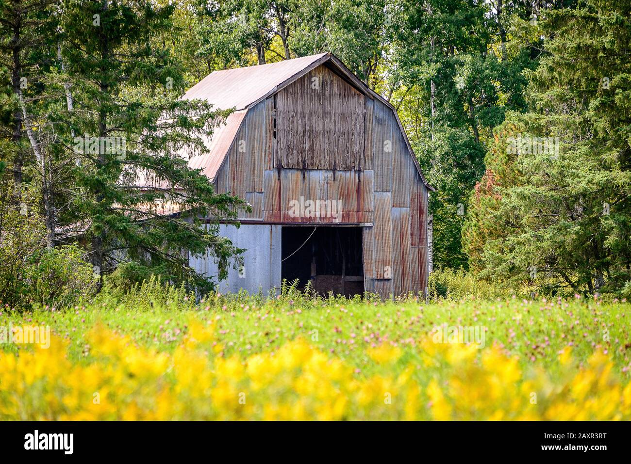 Wood barn in field of wildflowers Stock Photo Alamy