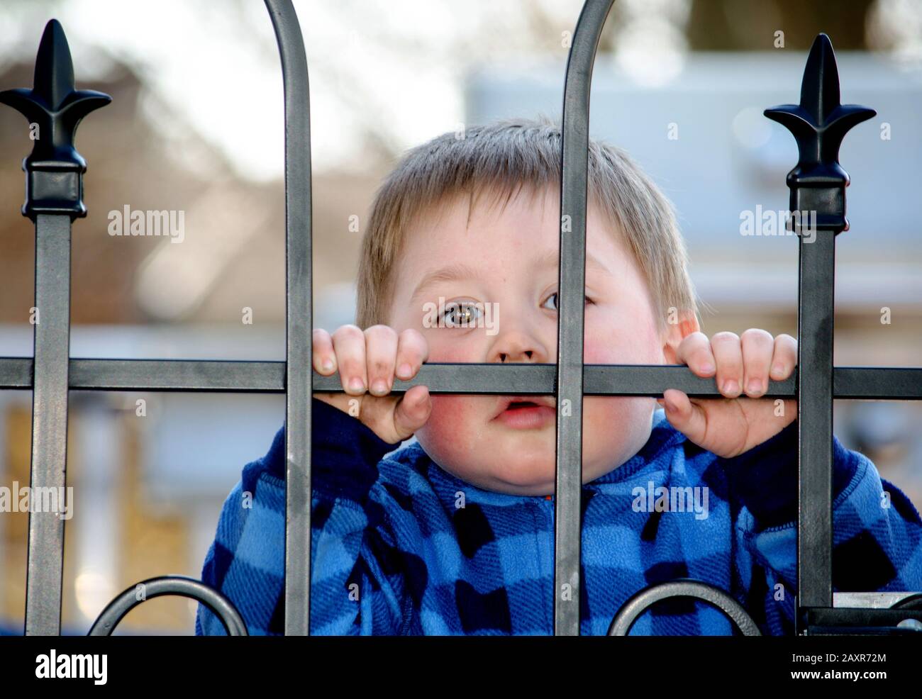 Toddler looking thru a metal gate, keeping him safe Stock Photo Alamy