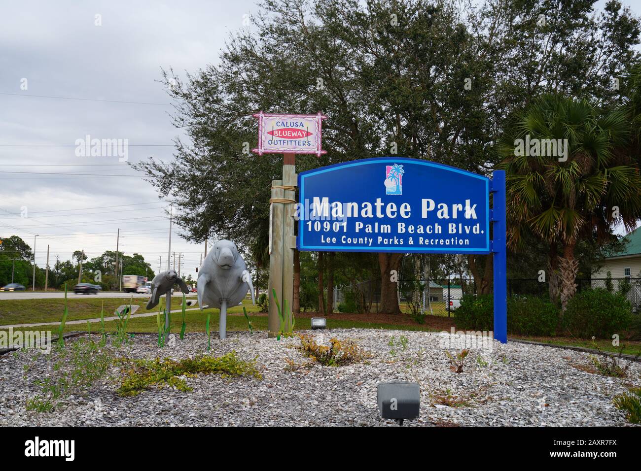 Lee county manatee park hi-res stock photography and images - Alamy