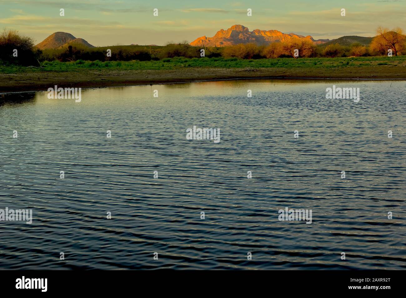 Webb Pond, also known as Webb Tank. An Oasis located in the Gila Bend Mountains of southwestern Arizona. It lies within federal BLM land. No property Stock Photo