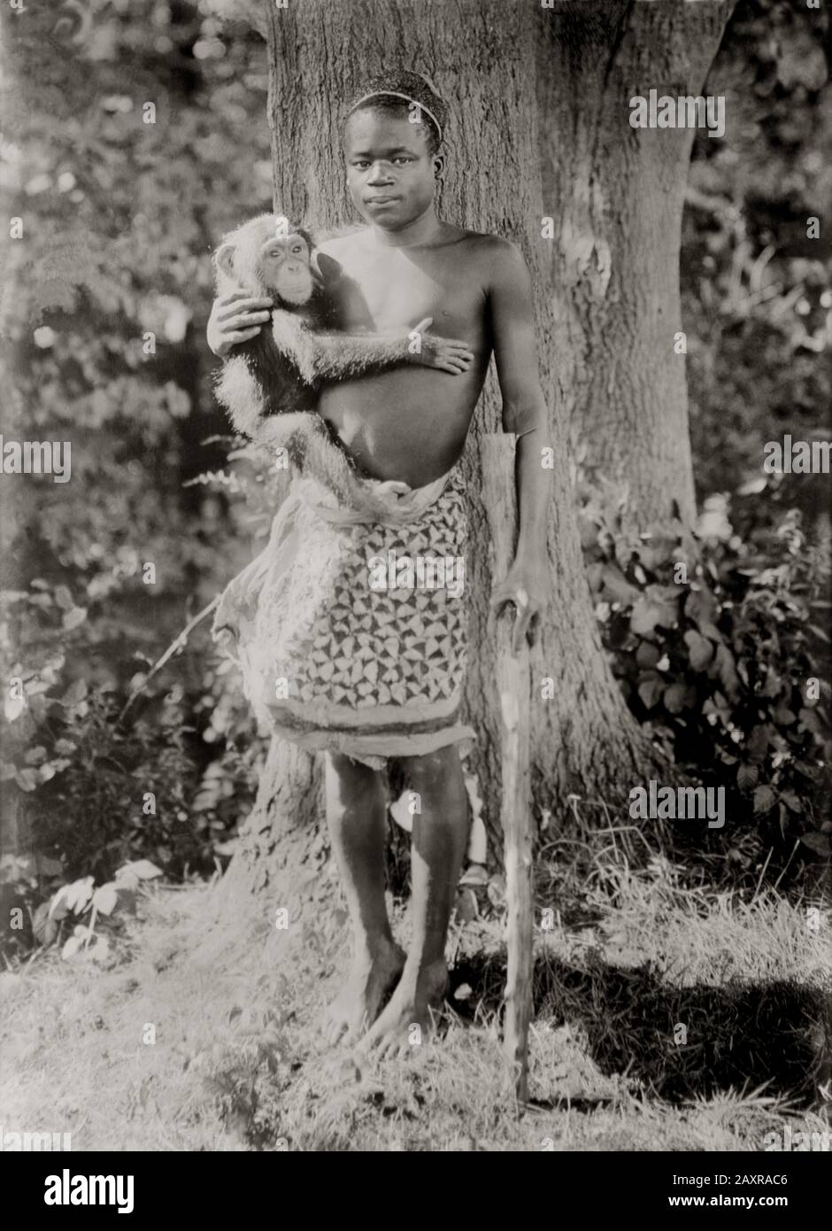1906, New York , USA :  OTA BENGA ( 1883 ca - 1916 ), was a young Pygmy Mbuti from the african Congo who was brought when was a boy to the U.S. for the 1904 World's Fair held in St. Louis, Missouri . Unable to return to Africa in 1916 during the World War I  he became depressed and committed suicide the day 20 march 1916 , aged 33 .  Benga had been purchased from African slave traders by the missionary and anthropologist Samuel Phillips Verner . - FOTO STORICHE - HISTORY  - portrait - ritratto - MODELLO - MODEL  -  piedi nudi - barefoots - monkey - scimmia - scimpanzé - PIGMEO - PIGMEI - suici Stock Photo