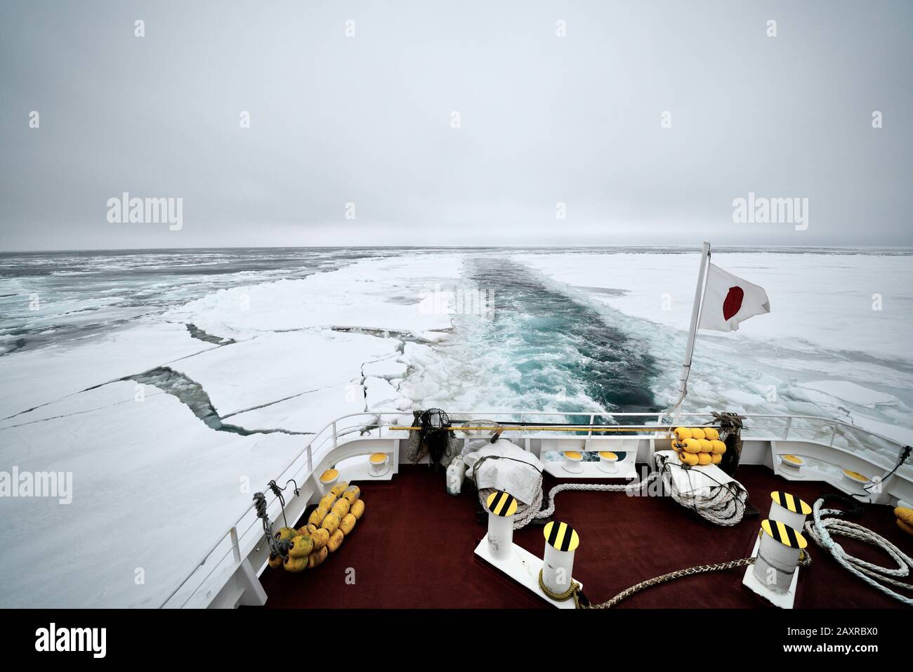 MS Aurora ice breaker cruise through Okhotsk sea with drift ice in winter, Shiretoko, Hokkaido, Japan Stock Photo
