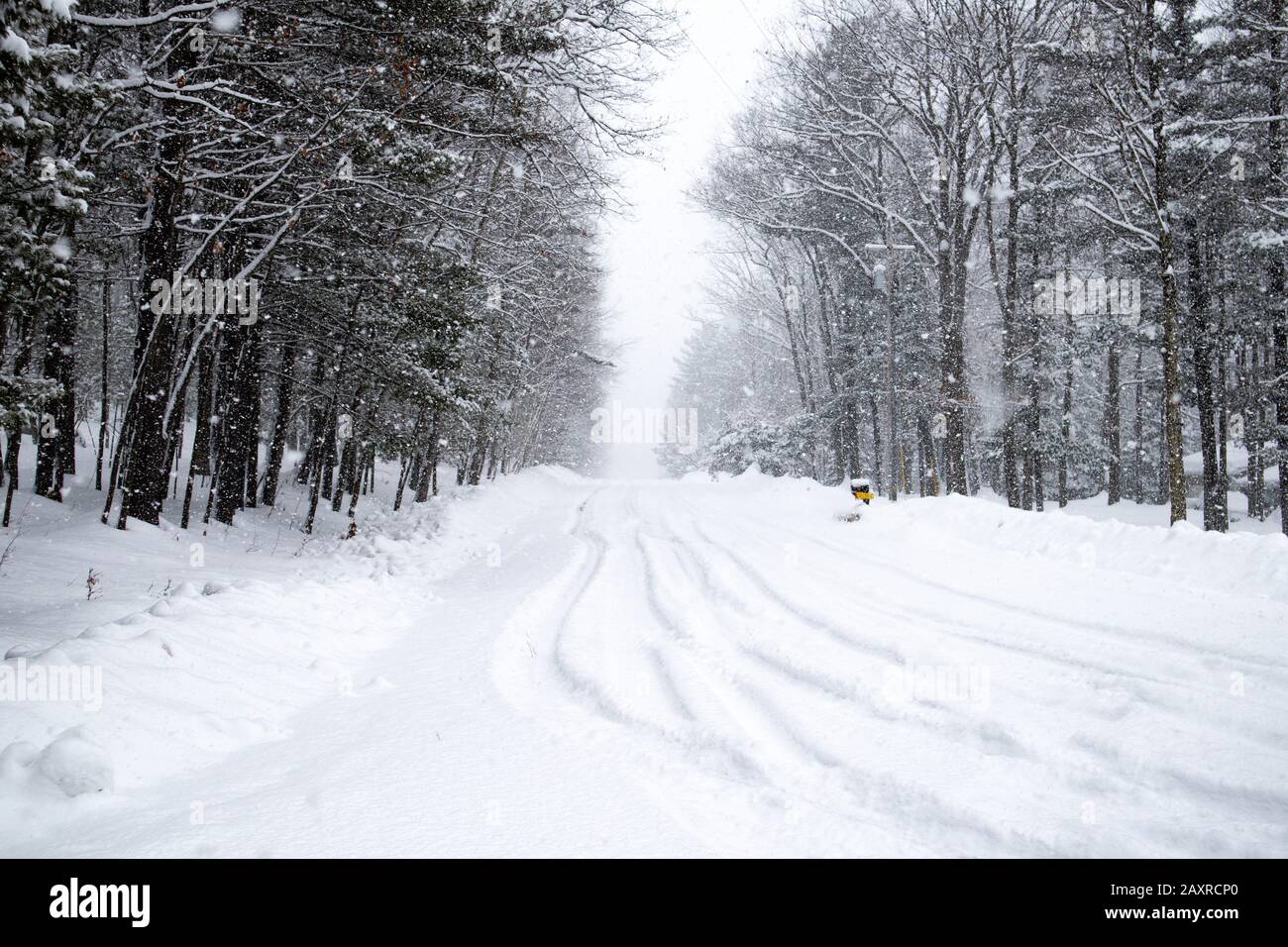 Snow covered road  in a February snowstorm in Wausau, Wisconsin getting one to two inchess an hour, horizontal Stock Photo